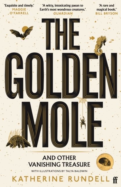 The Golden Mole