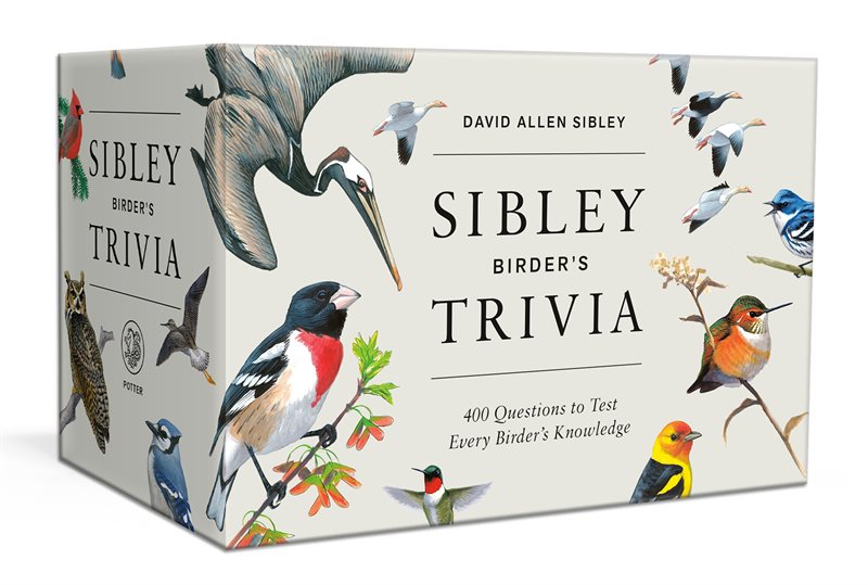 Sibley Birder