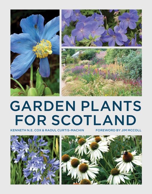 Garden plants for scotland