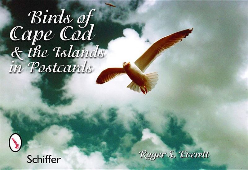 Birds Of Cape Cod & The Islands In Postcards