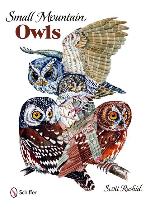 Small Mountain Owls