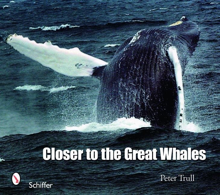 Closer to the great whales