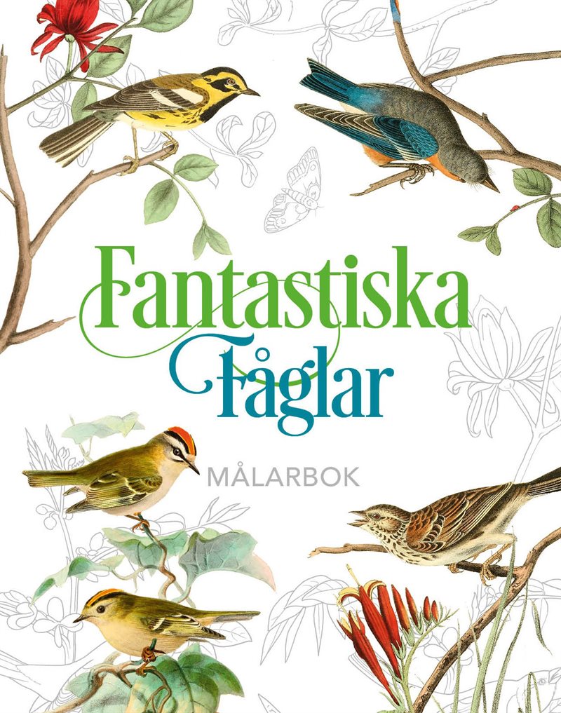 Fantastiska fåglar - målarbok