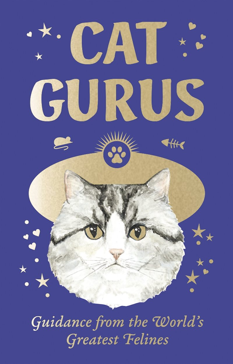 Cat Gurus: Mini