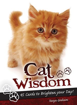 Cat Wisdom Cards