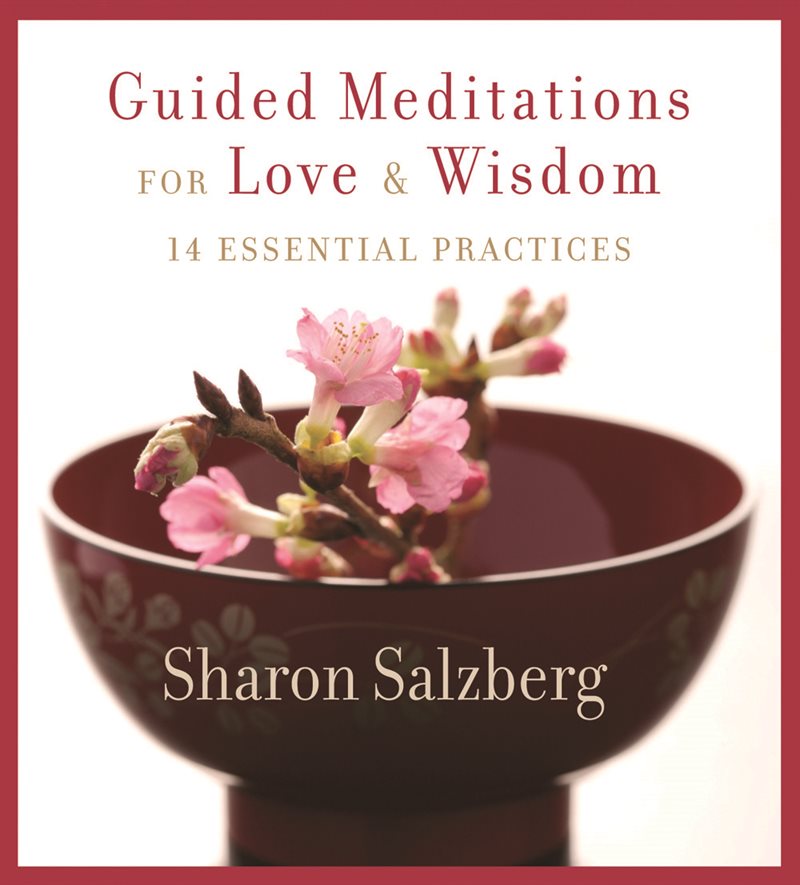 Guided meditations for love and wisdom - 14 essential practices