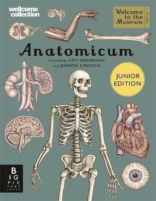 Anatomicum Junior