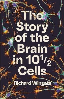 The Story of the Brain in 101/2 Cells