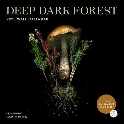 Deep Dark Forest 2025 Wall Calendar