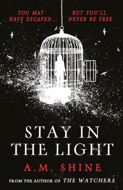 Stay in the Light