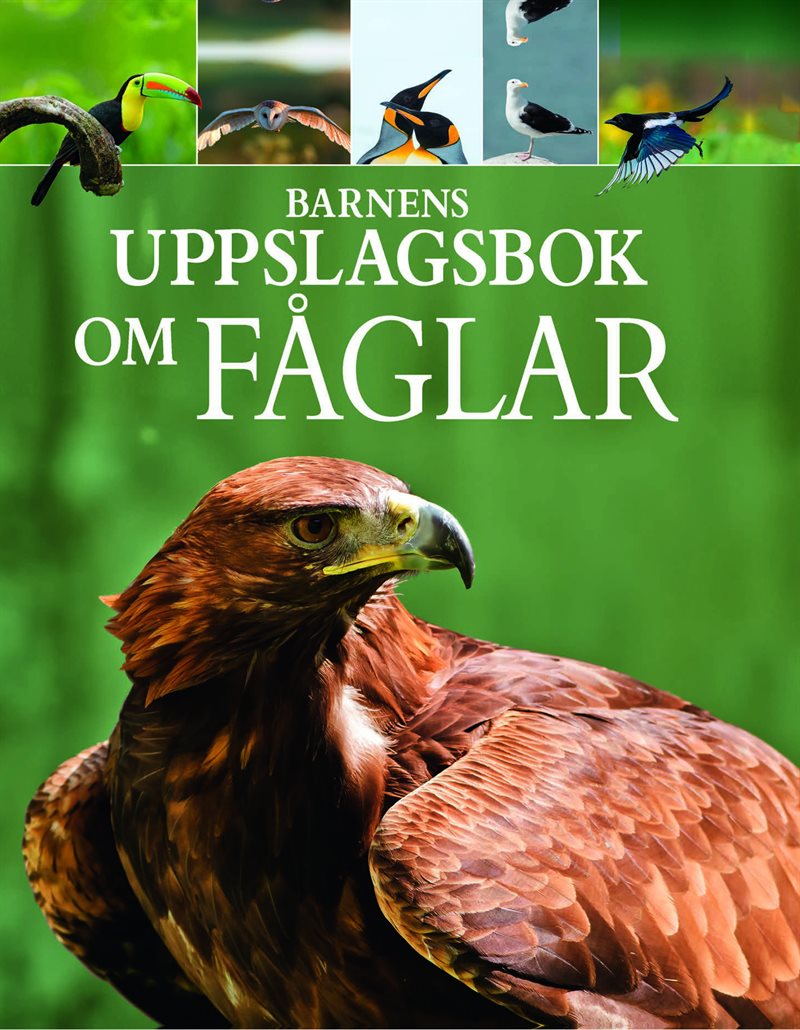 Barnens uppslagsbok om fåglar