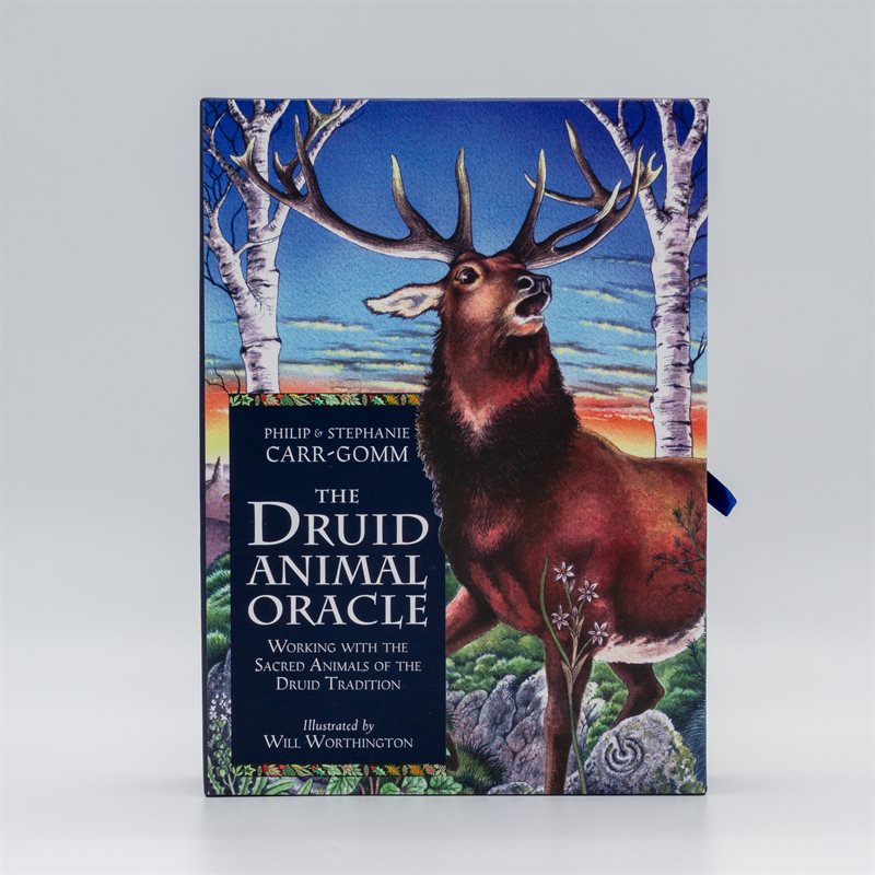 The Druid Animal Oracle