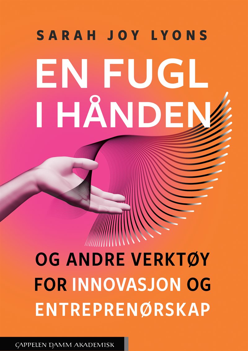 En fugl i hånden og andre verktøy for innovasjon og entreprenørskap