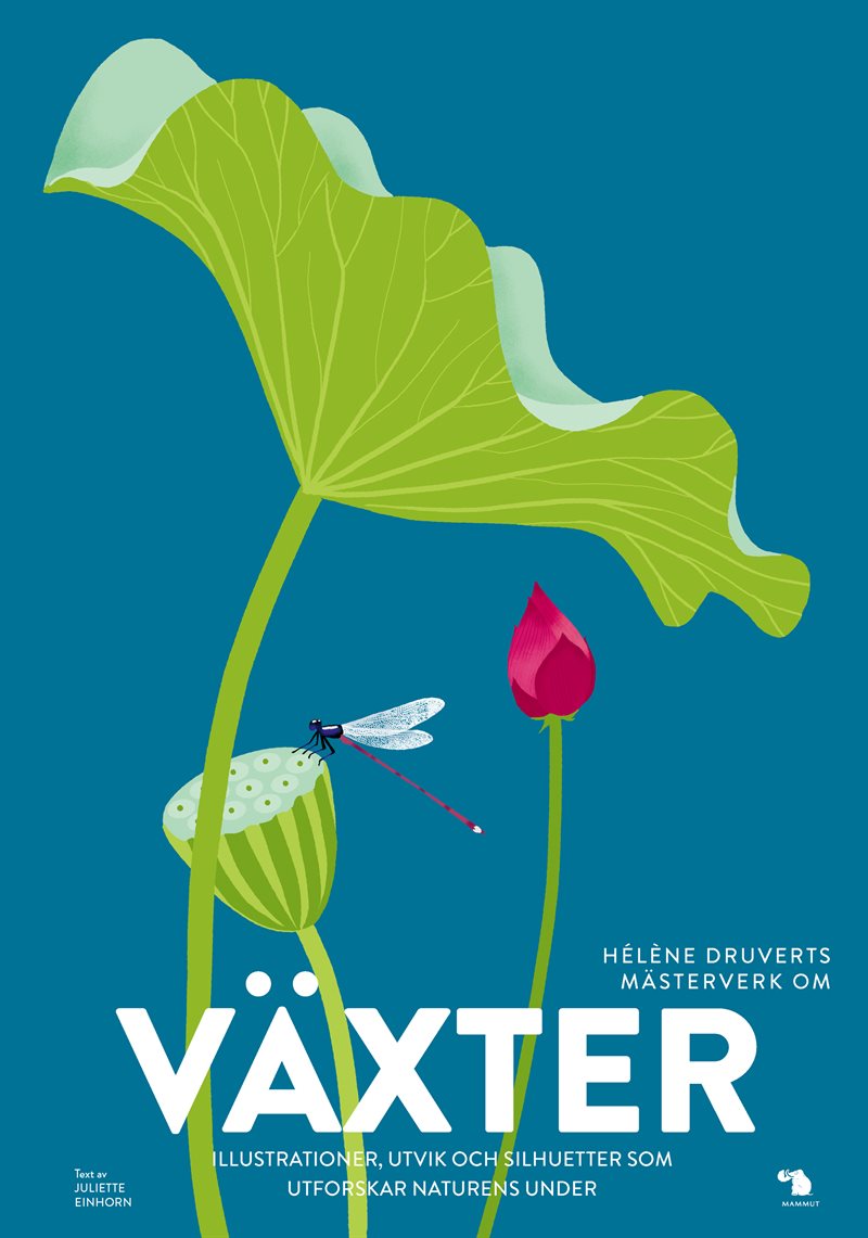 Växter