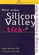 What makes silicon valley tick?