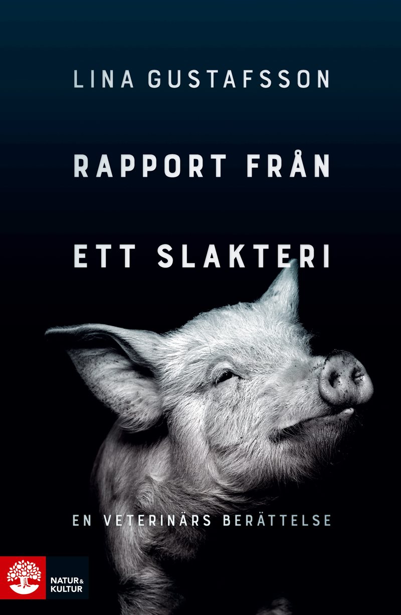 Rapport från ett slakteri : en veterinärs berättelse