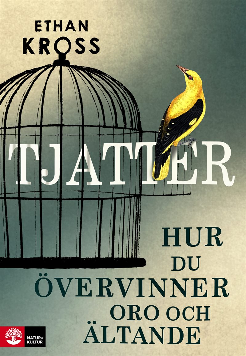 Tjatter : hur du övervinner oro och ältande