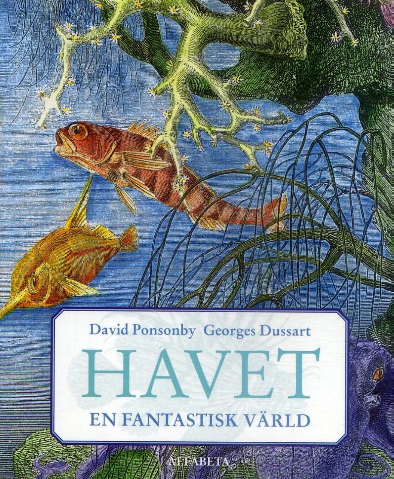 Havet : en fantastisk värld