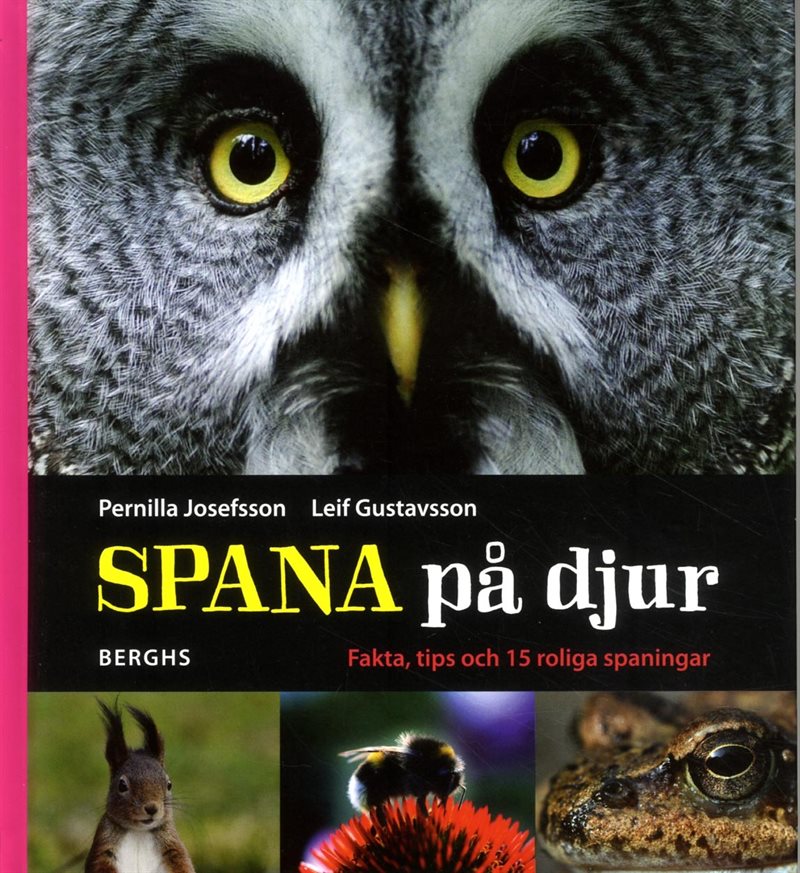 Spana på djur