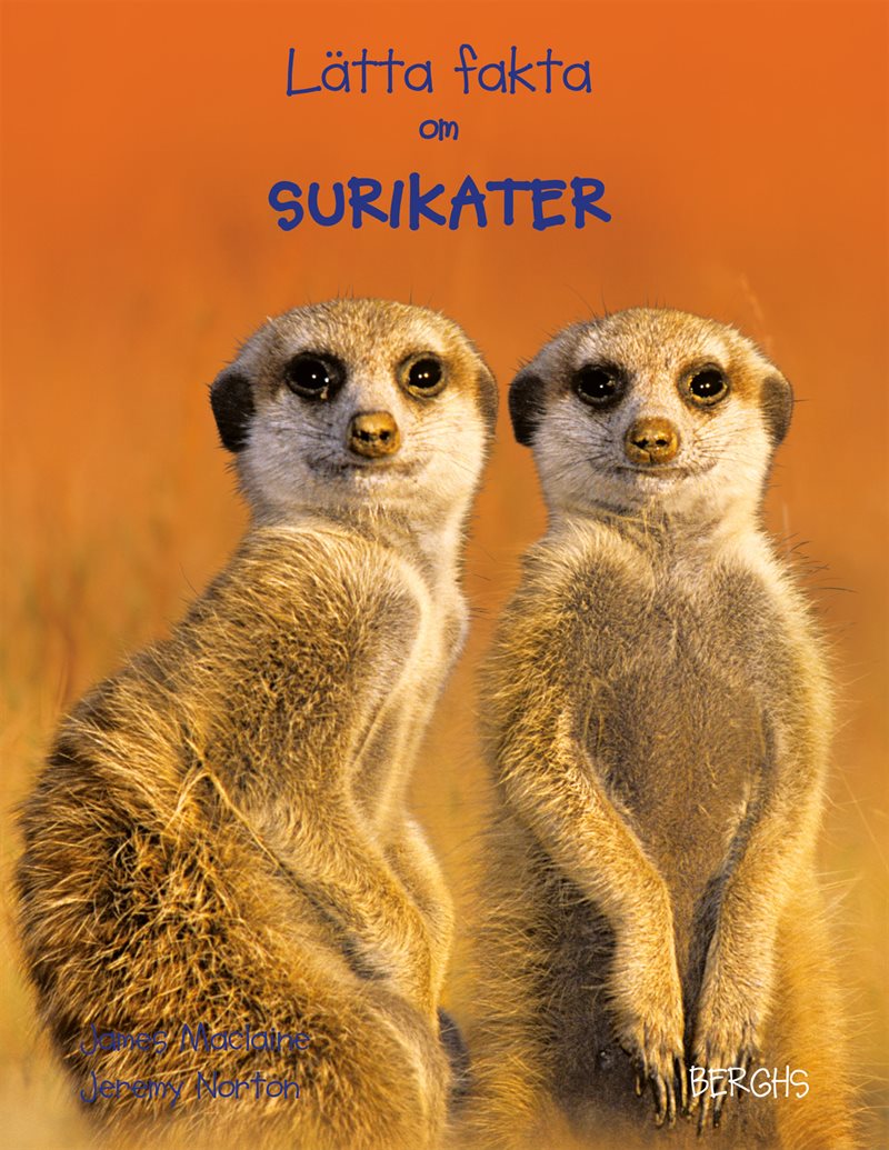 Lätta fakta om surikater