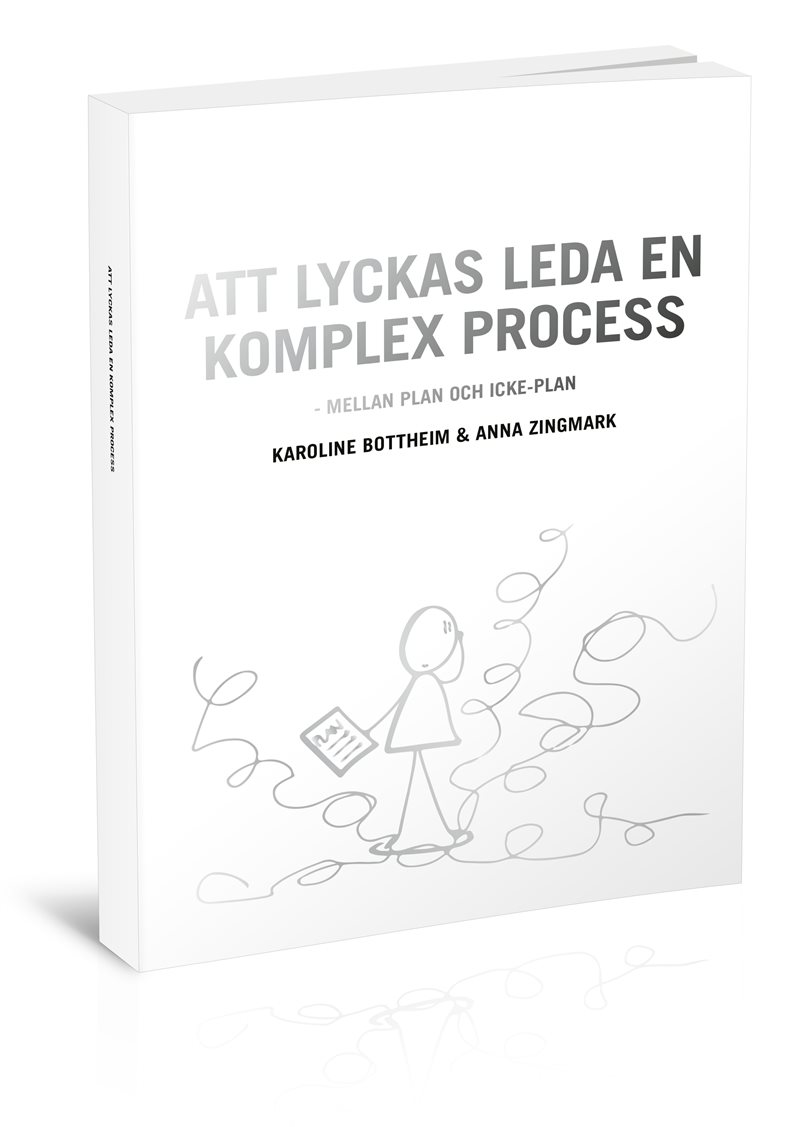 Att lyckas leda en komplex process