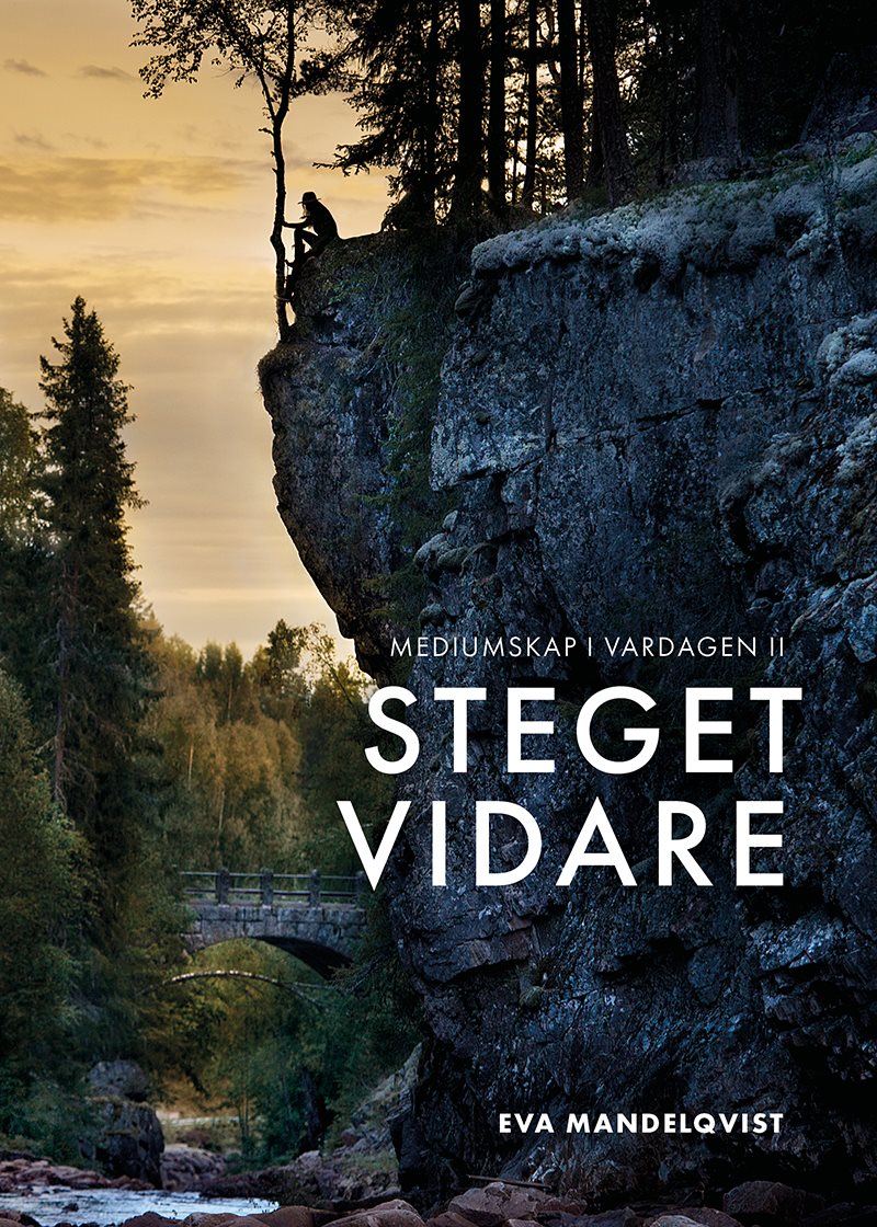 Mediumskap i vardagen II : steget vidare