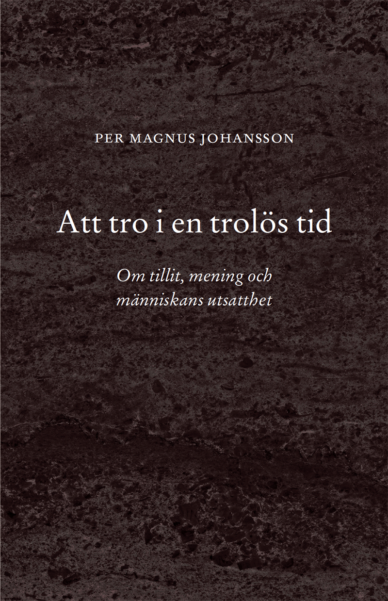 Att tro i en trolös tid : Om tillit, mening och människans utsatthet