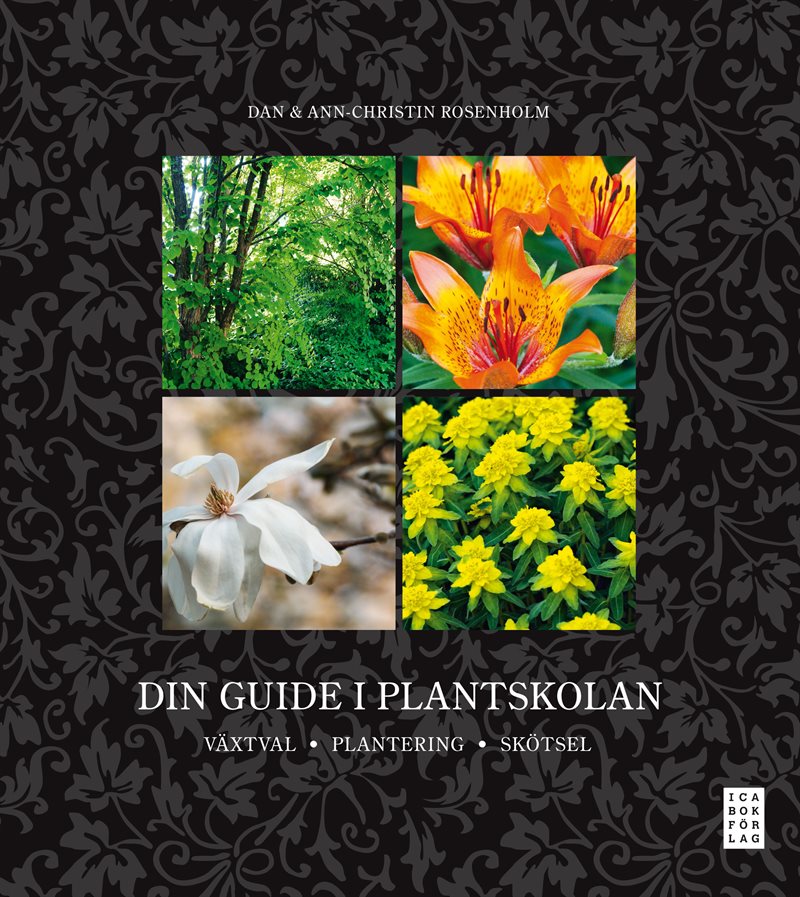 Din guide i plantskolan