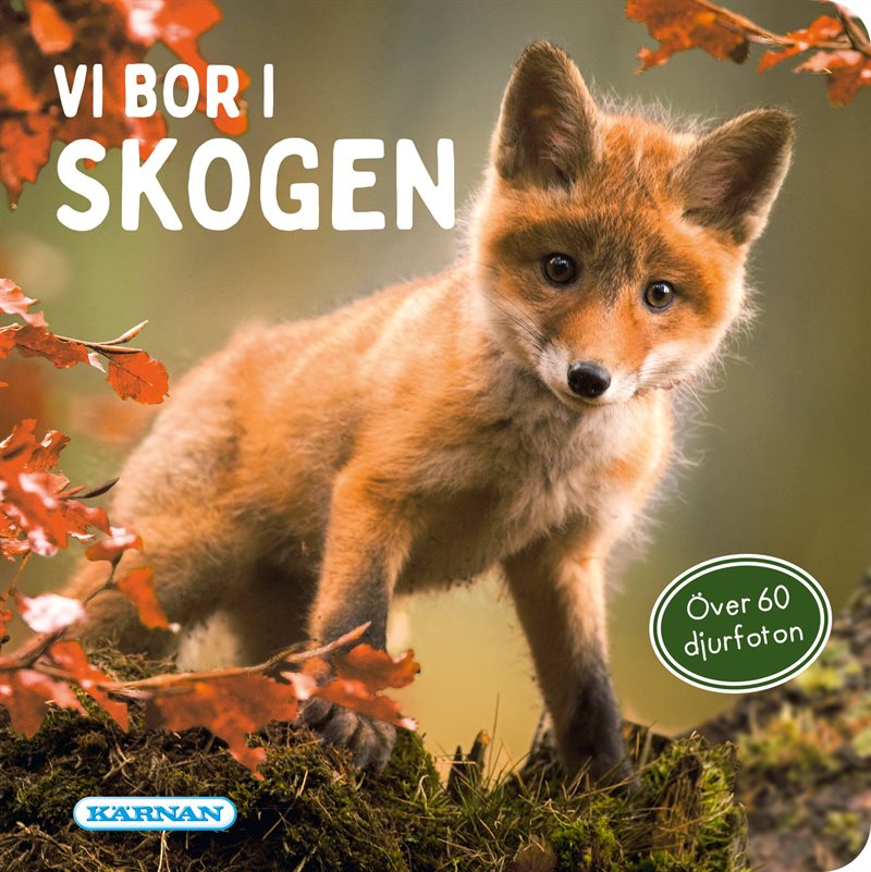 Vi bor i skogen