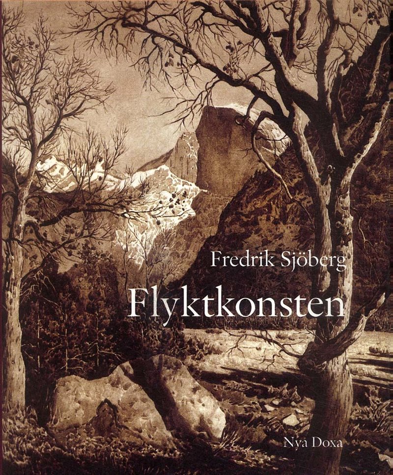 Flyktkonsten