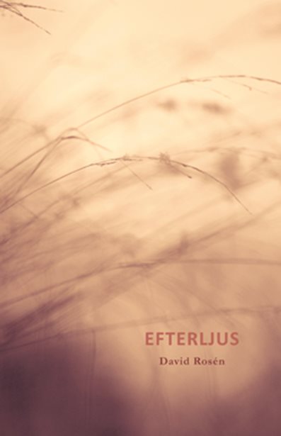 Efterljus