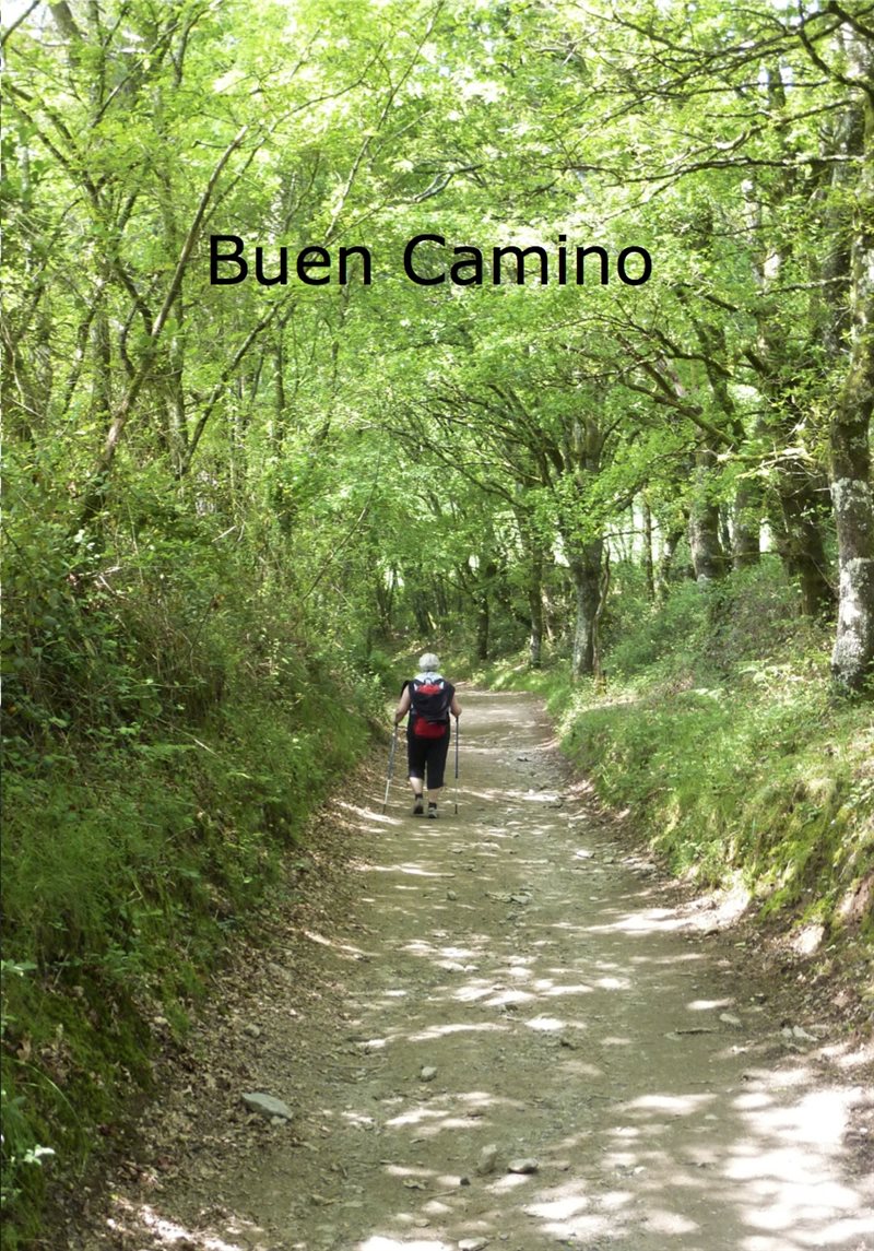 Buen Camino