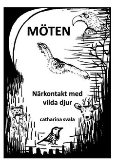 Möten : närkontakt med vilda djur