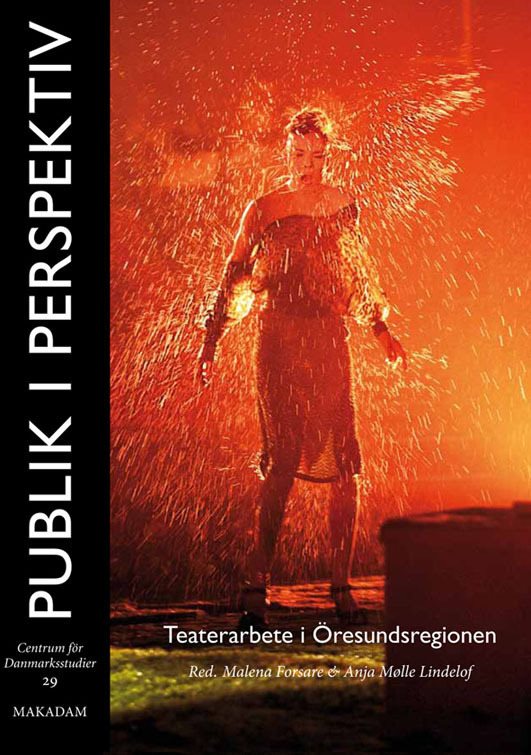 Publik i perspektiv : teaterarbete i Öresundsregionen