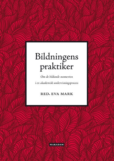 Bildningens praktiker : om de bildande momenten i en akademisk undervisningsprocess