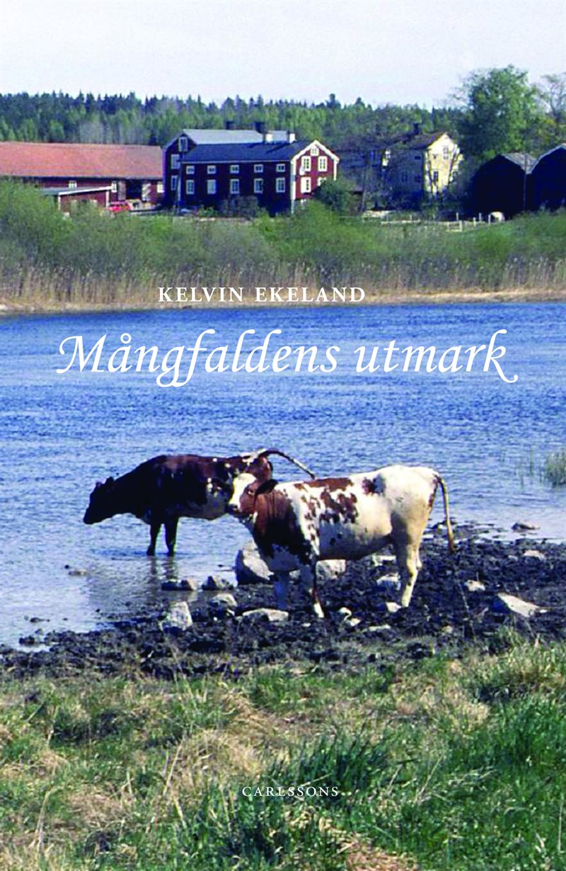 Mångfaldens utmark