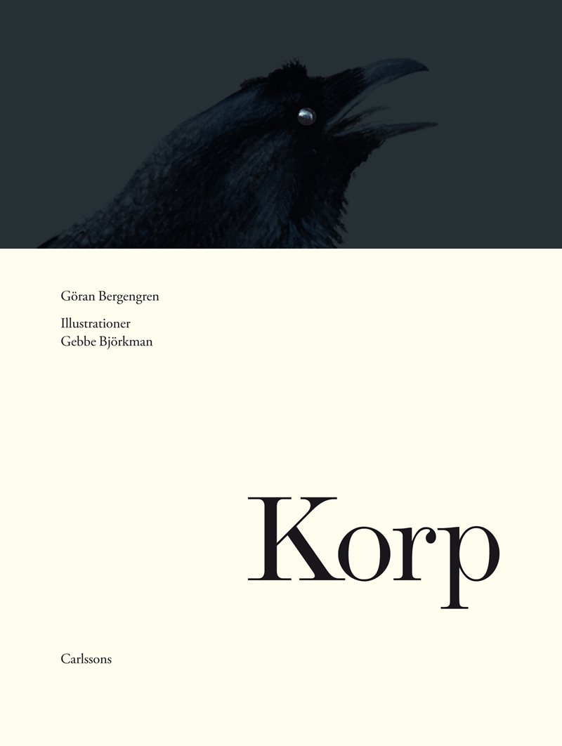 Korp