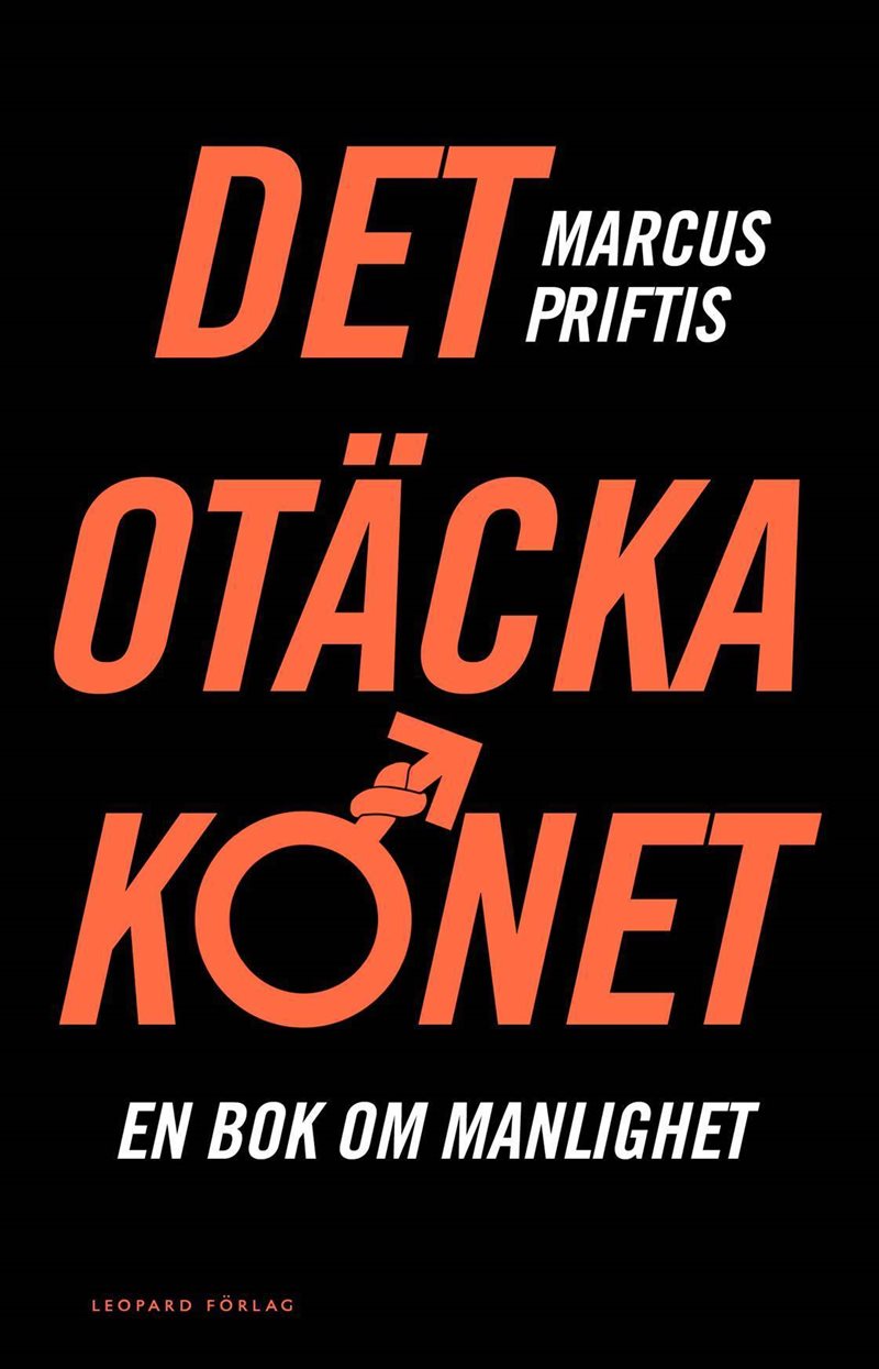 Det otäcka könet : en bok om manlighet