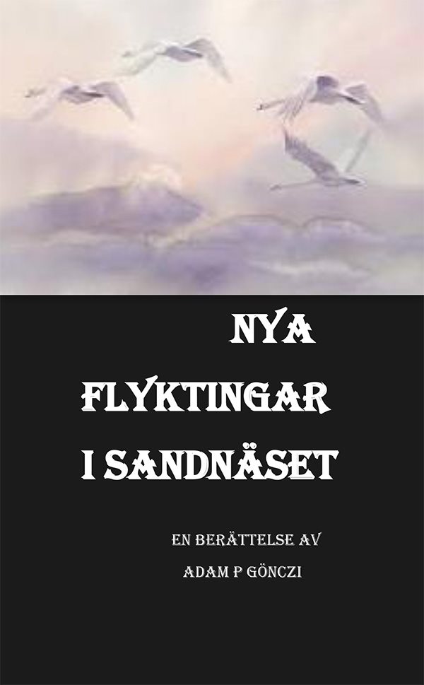 Nya flyktingar i Sandnäset