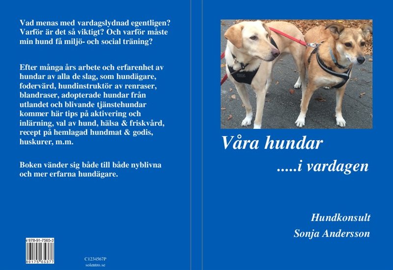 Våra hundar i vardagen