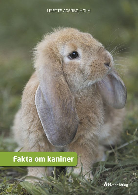 Fakta om kaniner