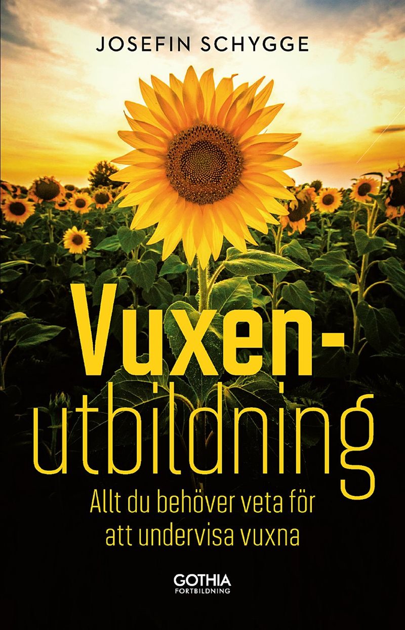 Vuxenutbildning : allt du behöver veta för att undervisa vuxna