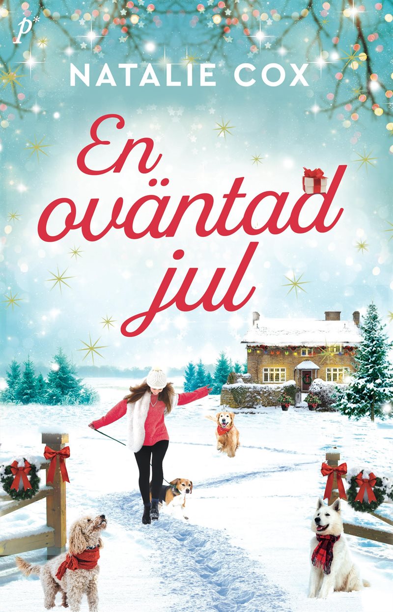 En oväntad jul