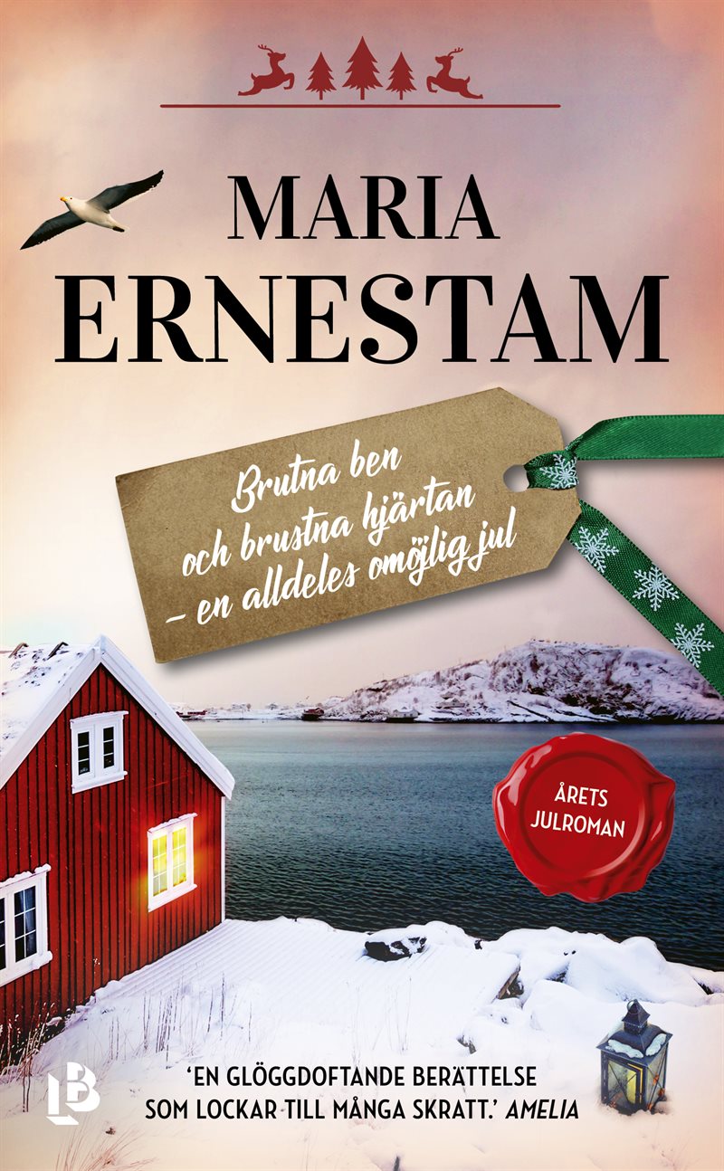 Brutna ben och brustna hjärtan - en alldeles omöjlig jul