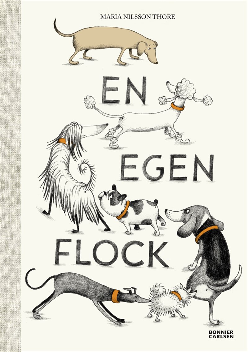 En egen flock