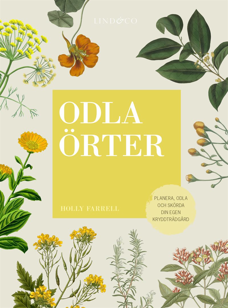 Odla örter : planera, odla och skörda  din egen kryddträdgård