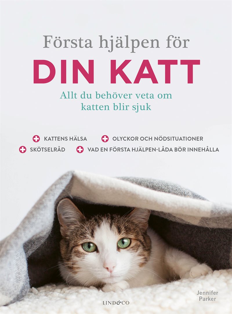 Första hjälpen för din katt