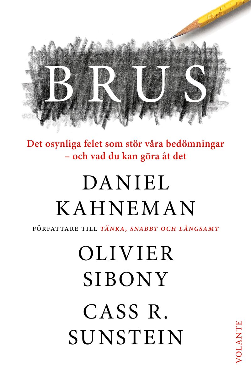 Brus : det osynliga felet som stör våra bedömningar - och vad du kan göra åt det