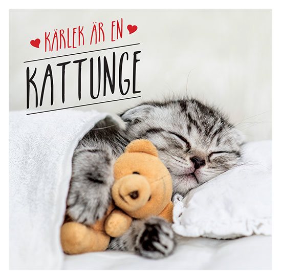 Kärlek är en kattunge