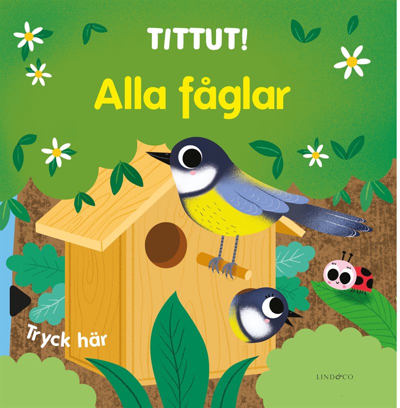 Tittut! Alla fåglar